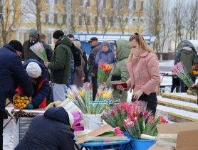 Как продавать тюльпаны к 8 марта и не попасть на штраф