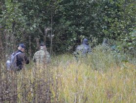 Около Бреста и в Ганцевичском районе в лесах вели поиск заблудившихся людей