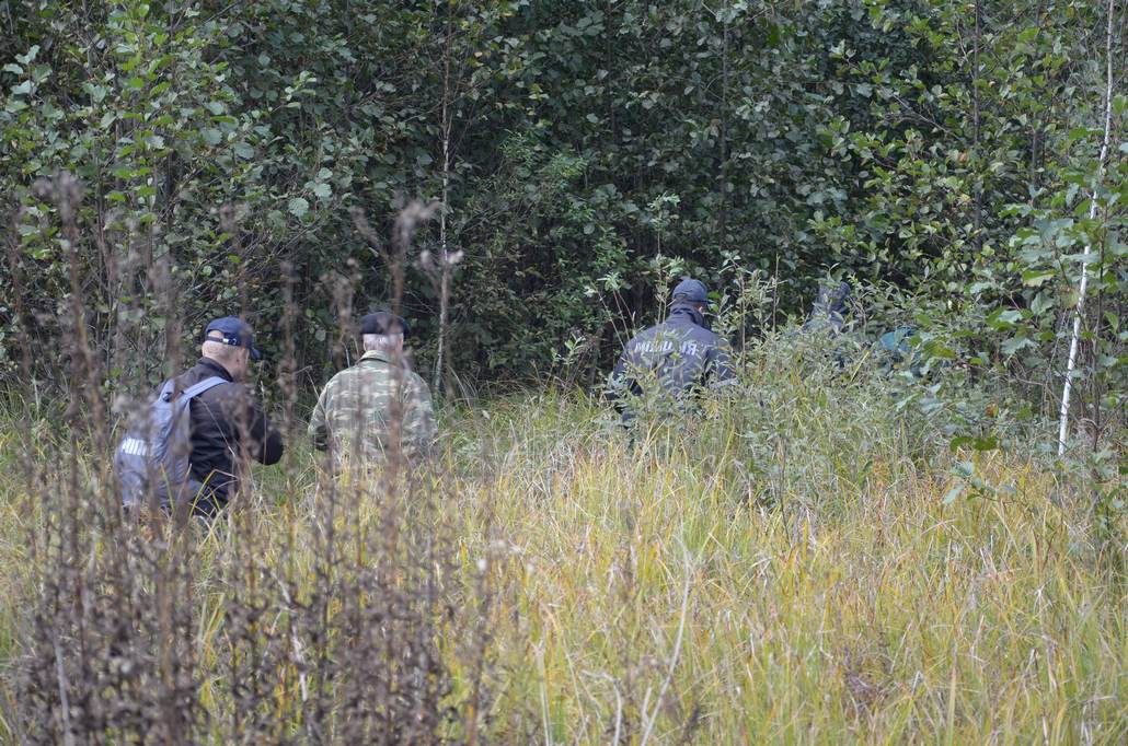 Около Бреста и в Ганцевичском районе в лесах вели поиск заблудившихся людей