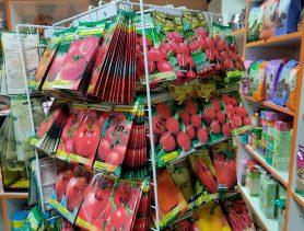 За семенами в магазин «Золотая рыбка»