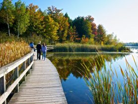 В Брестской области в 2021 году создали 28 агроусадеб