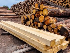 Деревообрабатывающие предприятия в Брестской области подозревают в махинациях