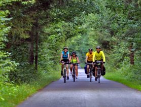 Туристический маршрут «Беловежский венок» создают в Брестской и Гродненской областях