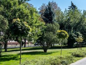 Предприятие ЖКХ в Бресте незаконно получило более полумиллиона рублей на озеленение