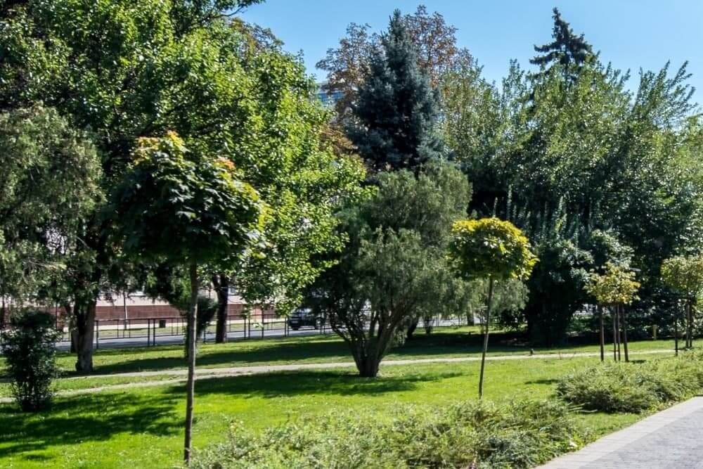 Предприятие ЖКХ в Бресте незаконно получило более полумиллиона рублей на озеленение