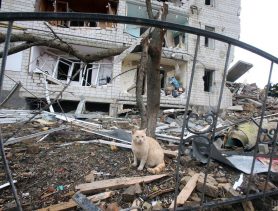 43 день войны в Украине. Что происходит в мире