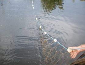 Будут судить рыбака с телевизорами