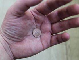 Акционерам ивацевичского ОАО начислили дивиденды, но выплатили только райисполкому