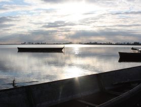 Браконьеры в Берёзовском районе «на шухер» выставили, но дрон не учли