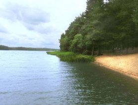 На озере в Пружанском районе чуть не утонул учащийся колледжа