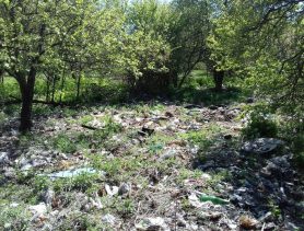 Госконтроль принимает жалобы на свалки и другие факты загрязнения природы