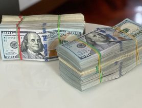 Валютного контрабандиста поймали на границе Польша-Беларусь