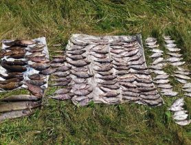 В Лунинце за браконьерство будут судить троих мужчин