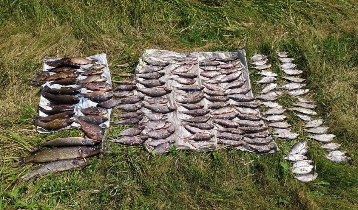 Улов, с которым задержали мужчин