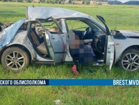 Вынесен приговор водителю за ДТП с двумя погибшими в Пружанском районе