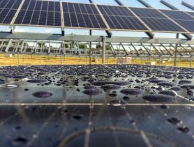 Белорус рассказал, как уехал в Польшу зарабатывать благодаря солнцу