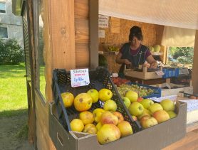В Беларуси разрешили поставлять фрукты и овощи из “недружественных” стран
