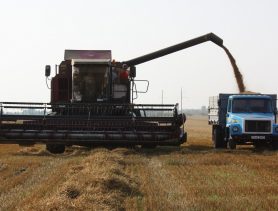 Комбайнёром можно будет стать в 17 лет в Беларуси