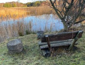 ИПэшников хотят перевести в юрлица,  разберутся с агроусадьбами и повысят налоги