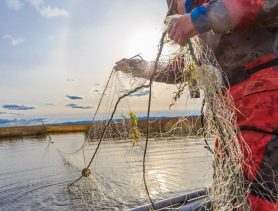 У браконьера в Ивацевичском районе нашли более 400 метров рыболовных сетей