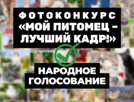 Народное голосование «Мой питомец – лучший кадр!» стартовало