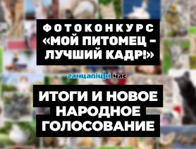 Самого неотразимого питомца выбрали! А теперь интрига – кто станет дипломантом от редакции «Ганцавіцкага часу»?