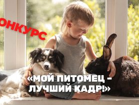 Конкурс «Мой питомец – лучший кадр!»: участвуйте и выигрывайте