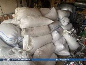 Со склада в Брестской области похитили почти четыре с половиной тонны зерна