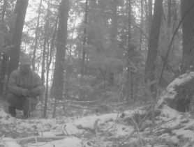 В Беловежской пуще браконьер использовал запрещенное средство для охоты