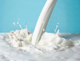 Работники фермы в Брестской области слили 53 тонны молока в канализацию