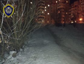 Ребенок на тюбинге на большой скорости врезался в дерево в Барановичах