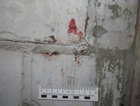 Сельчанин в Лунинецком районе убил знакомого, приняв его за вора