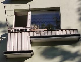 В Барановичах мужчина выбросил свою сожительницу с балкона третьего этажа