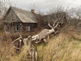 В одном из районов Брестской области на несколько деревень стало меньше