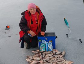 Каких лещей и щук ловят на водоёмах Брестской области