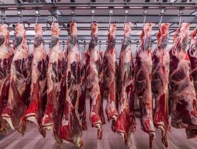 Новое “мясное дело” в Брестской области: здоровый скот поставляли на переработку по низкой цене