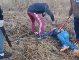 Избивали и поджигали волосы. Чем прославились брестские «спортики»?