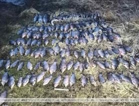 Ловили рыбу сетями: за сутки в Брестской области задержали троих браконьеров