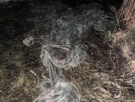 Почти километр рыболовной сети обнаружили у браконьеров в Брестской области