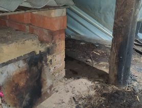 Школьник из Брестской области пытался разжечь печь в теплице и попал в реанимацию