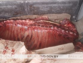 С фермы в Березовском районе похитили мясо умерших животных, чтобы пустить в продажу