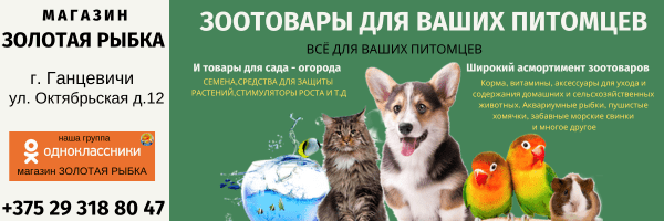 Конкурс домашних животных.