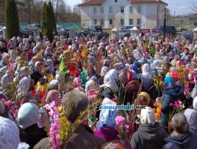 Православные отмечают Вербное воскресенье: традиции и приметы