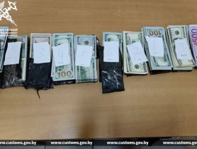 Как правильно перевозить деньги через границу, чтобы не попасть на штраф и конфискацию