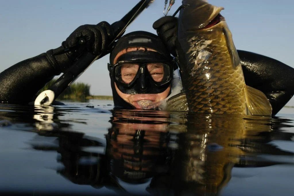 Где в Брестской области разрешена подводная охота и рыбалка с моторных лодок