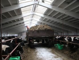 В списке неблагоприятных для сельхоздеятельности в Брестской области всё те же 5 районов