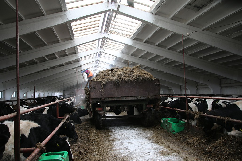 Не только болотистые земли, но много других причит быть в списках неблагоприятных районов для ведения сельскохозяйственной деятельности 