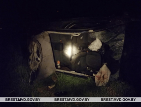 Новая авария в Барановичском районе: что делать с рогатыми нарушителями?