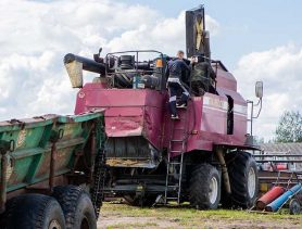 Сторожам в Брестской области доверили охранять имущество, а они занимались хищениями