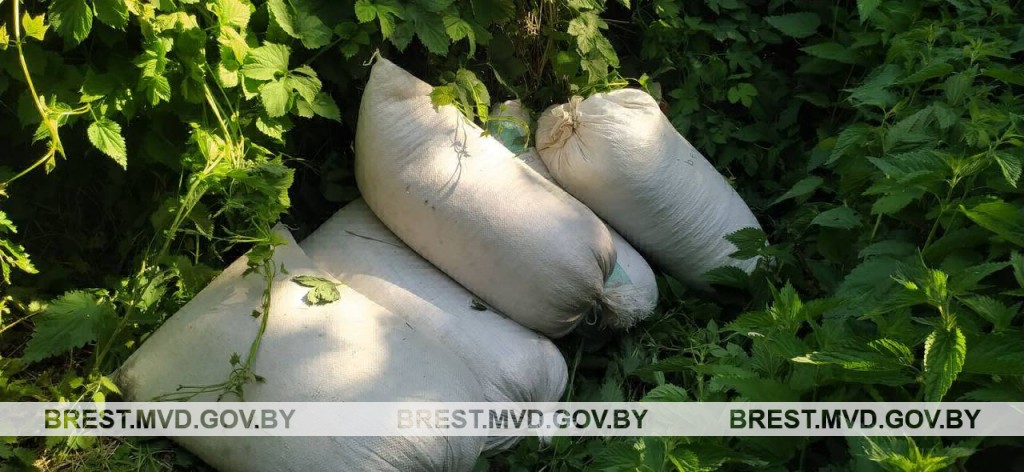 Комбикорм в кустах: на какие хитрости идут при кражах в сельском хозяйстве